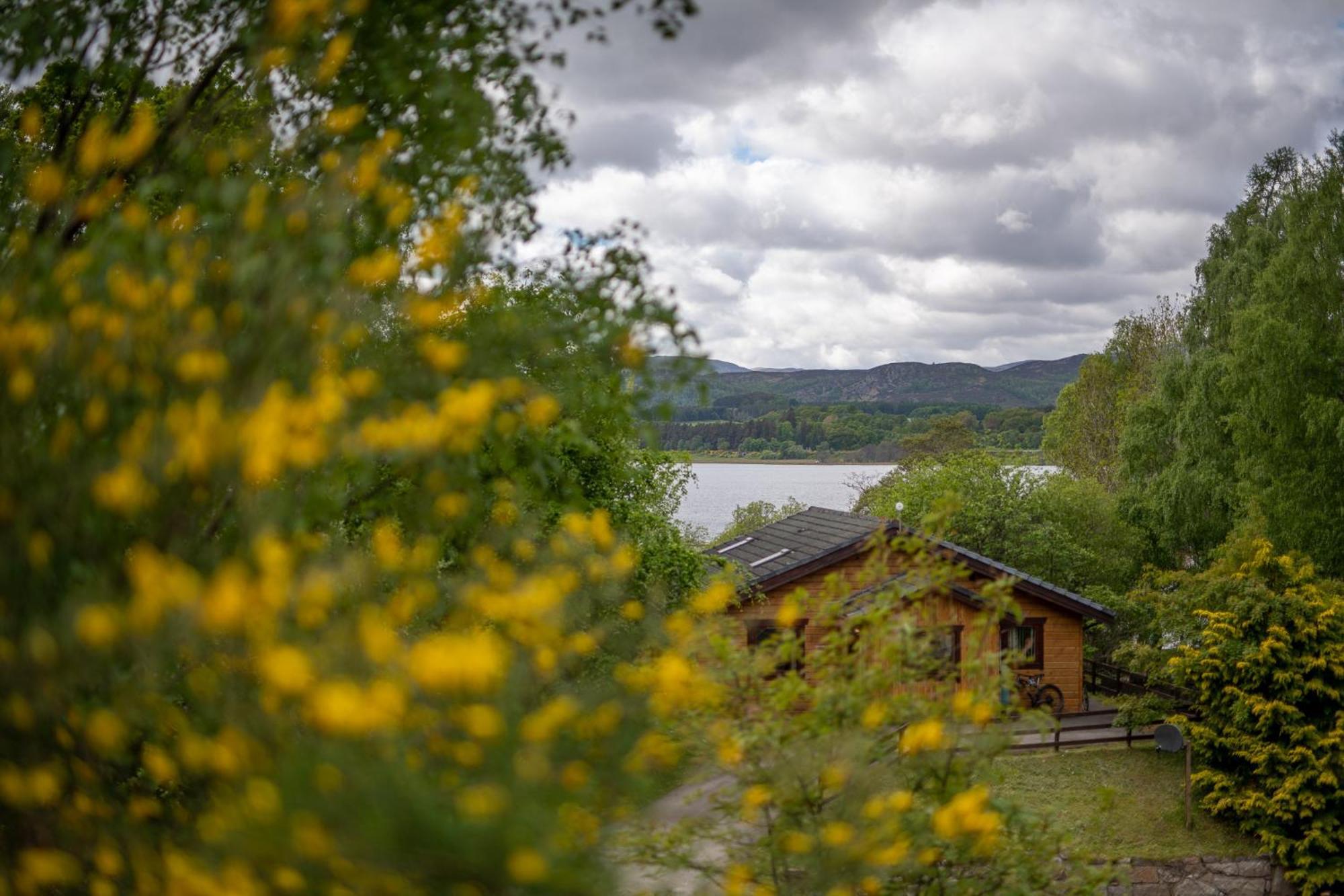 Loch Insh Chalets Ltd Kincraig Buitenkant foto